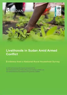 Livelihoods in Sudan amid armed conflict: Evidence from a national rural household survey