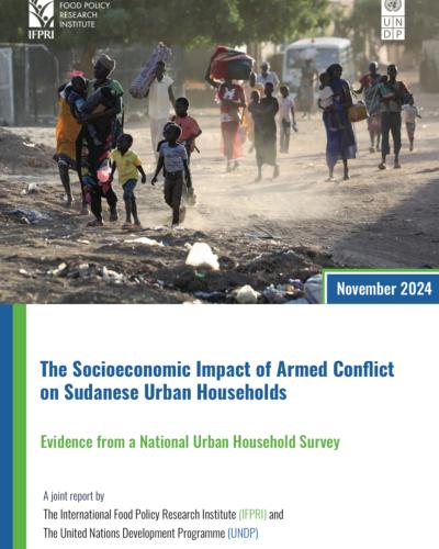 The Socio-Economic Impact of Armed Conflict on Sudanese Urban Households