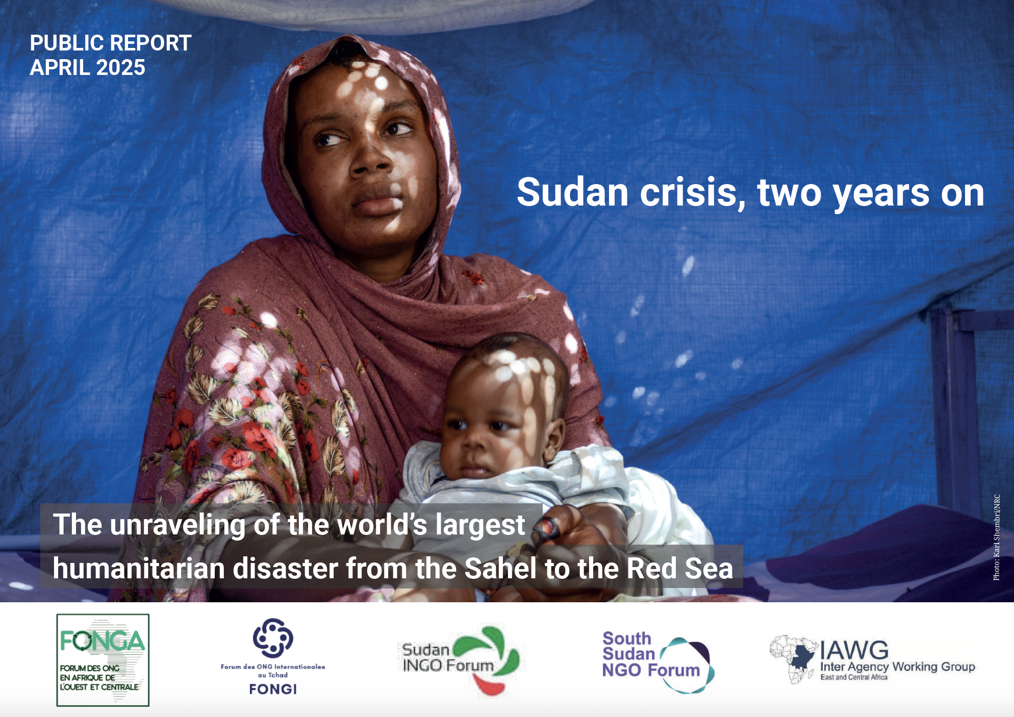 Sudan Crisis, Two Years On - Public Report April 2025