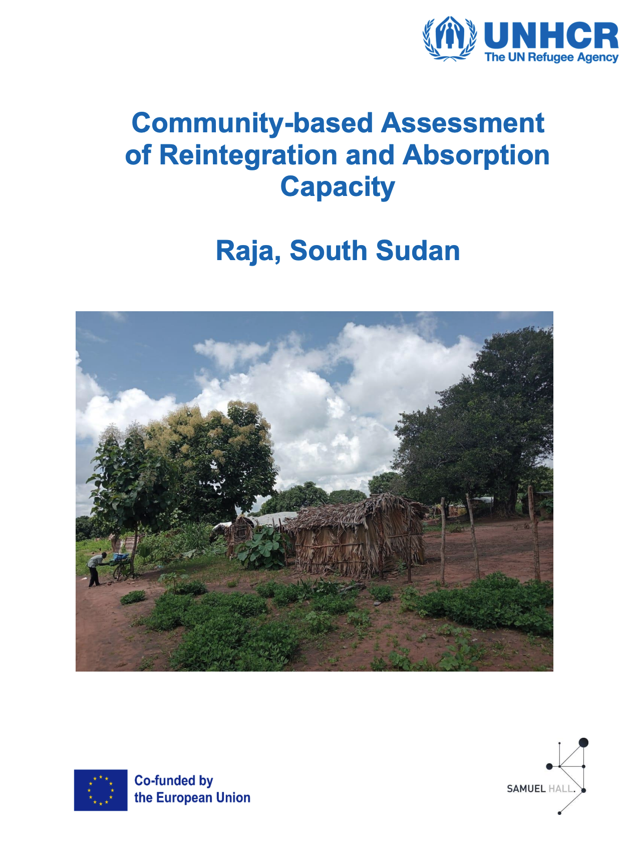 Community-Based Assessment of Reintegration and Absorption Capacity Report - Raja