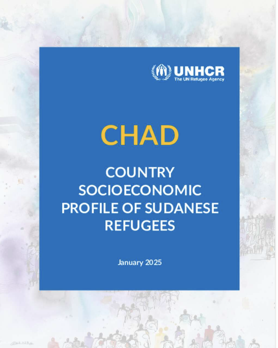 Chad Country Socioeconomic Profile of Sudanese Refugees (January 2025)