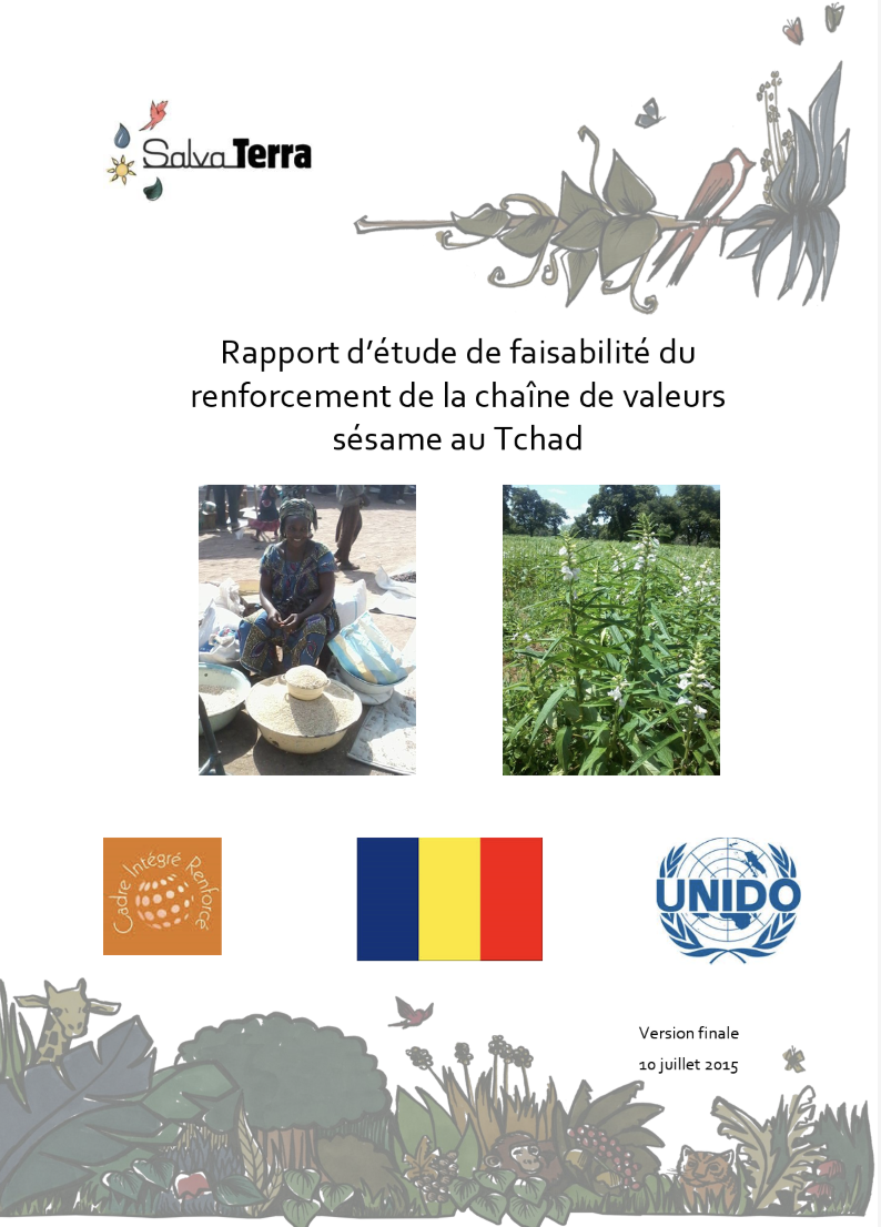 Rapport d’étude de faisabilité du renforcement de la chaîne de valeurs sésame au Tchad