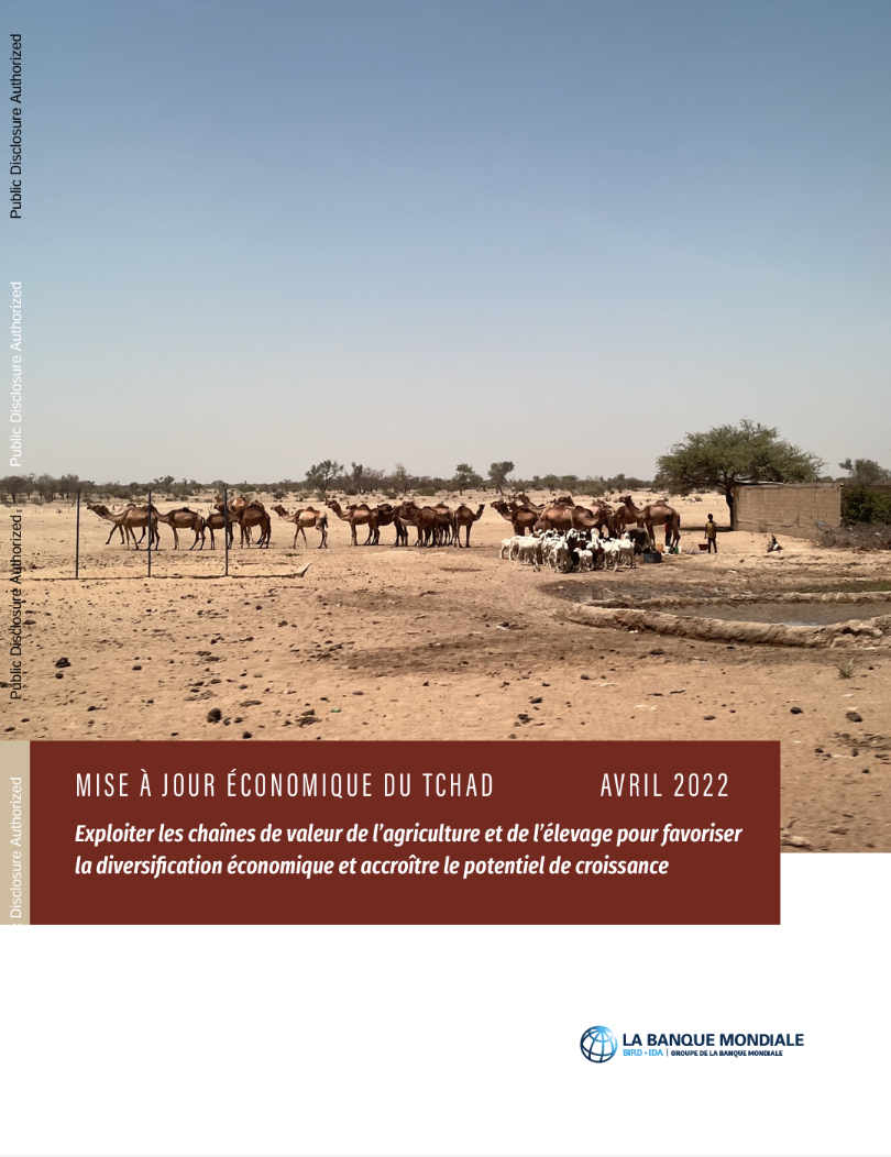 Mise à Jour Économique du Tchad : Exploiter les Chaînes de Valeur de l’Agriculture et de l’Élevage pour Favoriser la Diversification Économique et Accroître le Potentiel de Croissance