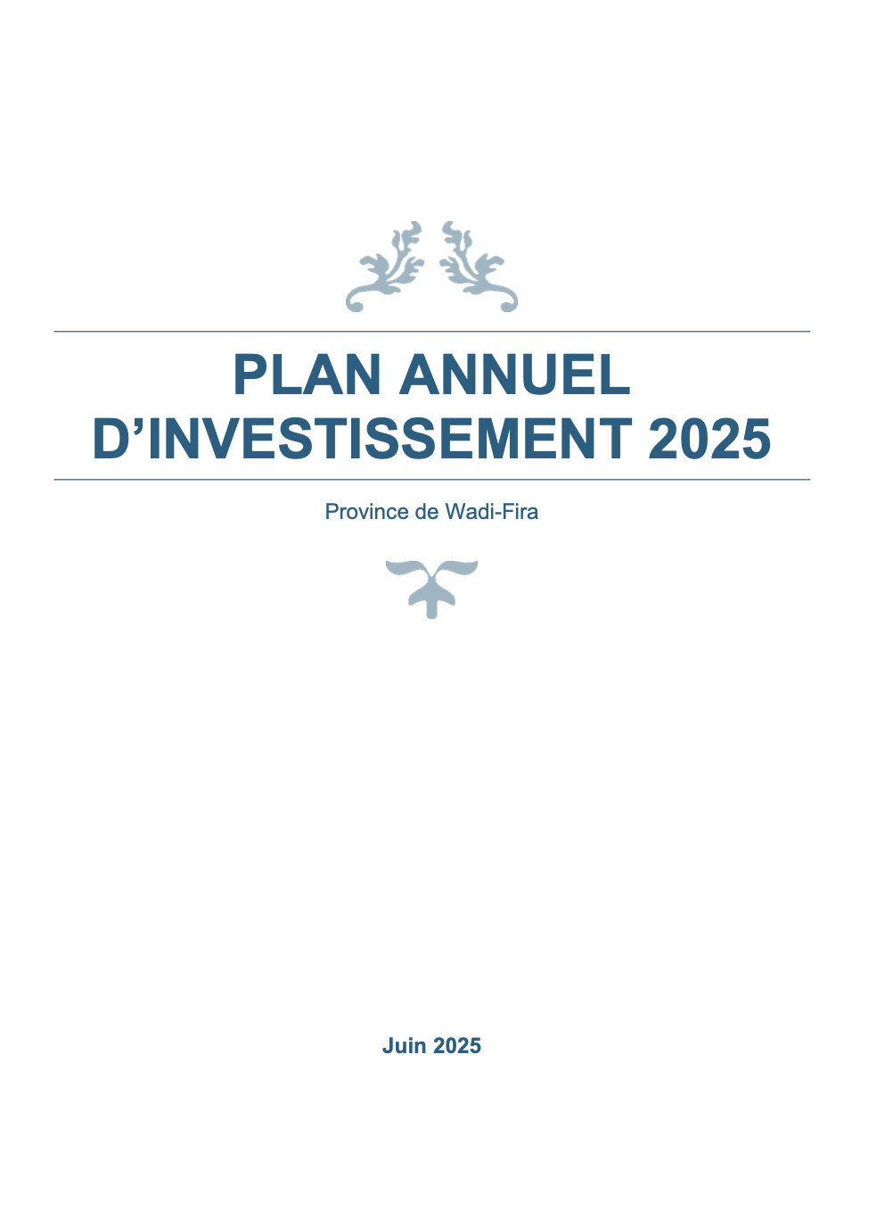Plan Annuel d'Investissement 2025 - Province de Wadi Fira