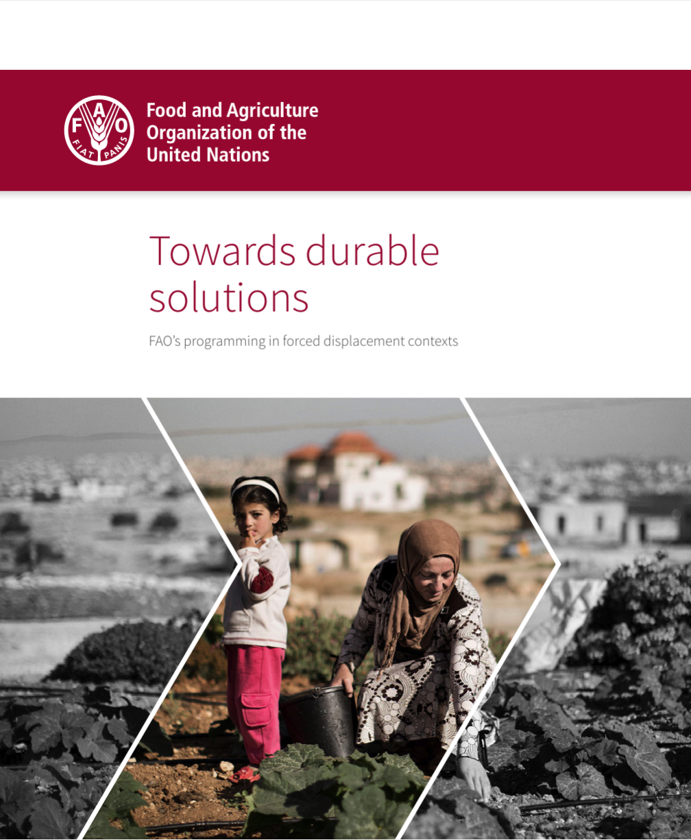 Towards Durable Solutions: FAO's Programming in Forced Displacement Contexts