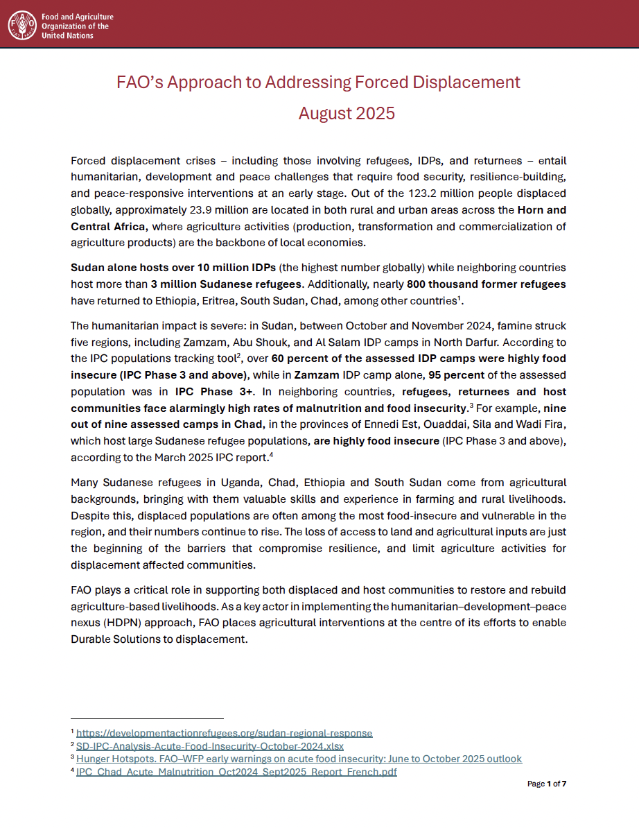 FAO’s Approach to Addressing Forced Displacement - August 2025