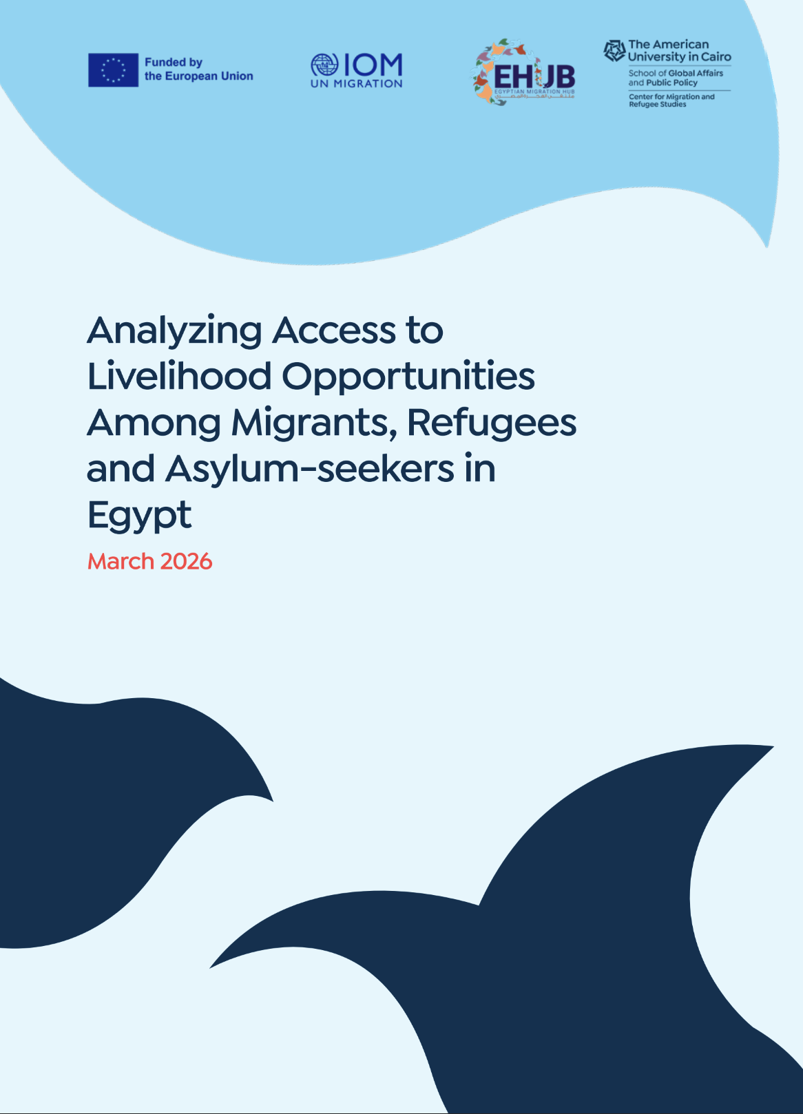 Analyzing Access to Livelihood Opportunities Among Migrants, Refugees and Asylum-Seekers in Egypt