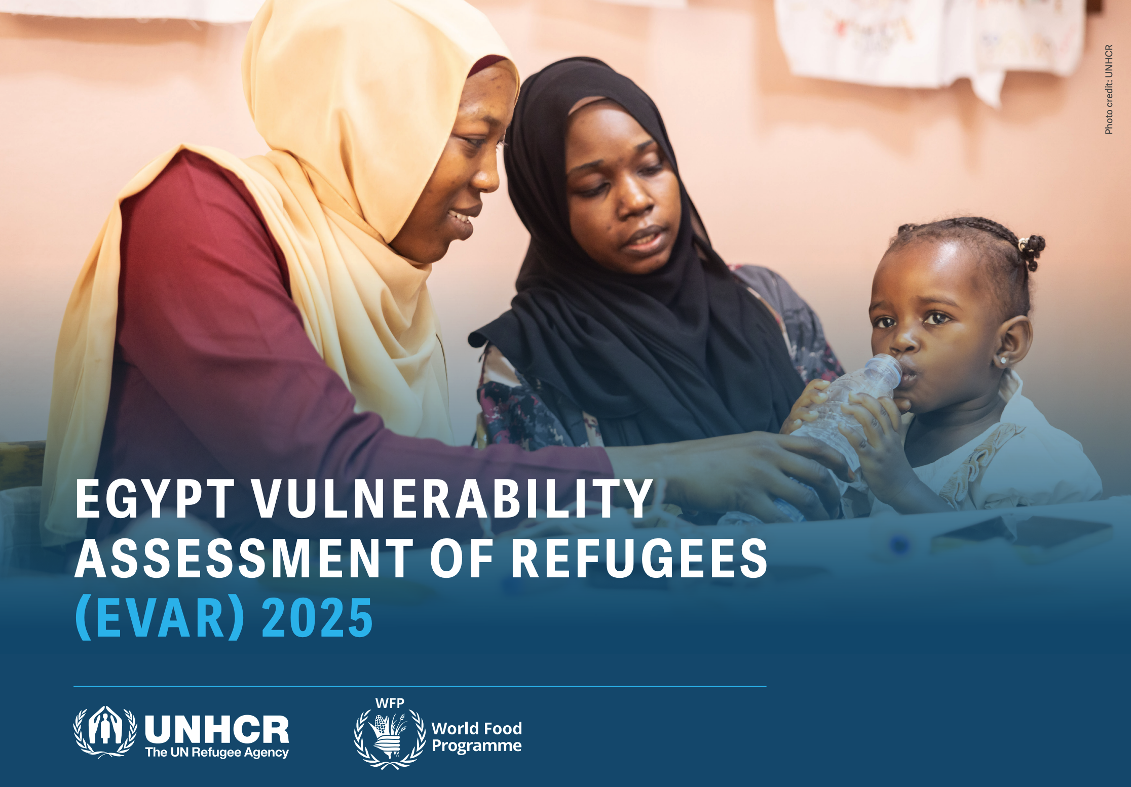 Egypt Vulnerability Assessment of Refugees (EVAR) 2025 (English)