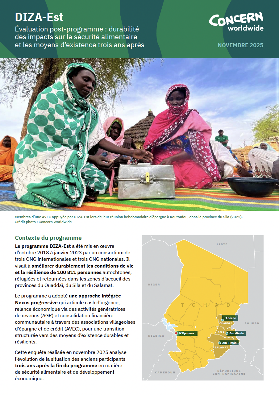 DIZA-Est Évaluation Post-Programme: Durabilité des impacts sur la sécurité alimentaire et les moyens d’existence trois ans après