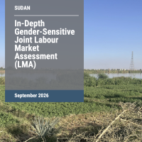 In-Depth Gender-Sensitive Joint Labour Market Assessment (LMA) for Sudan