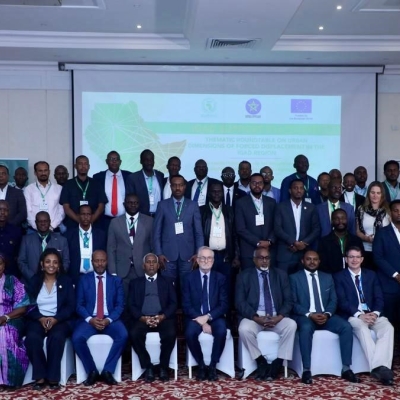 IGAD Roundtable