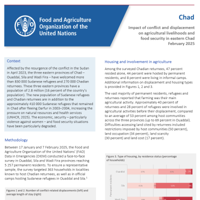 FAO Chad Report