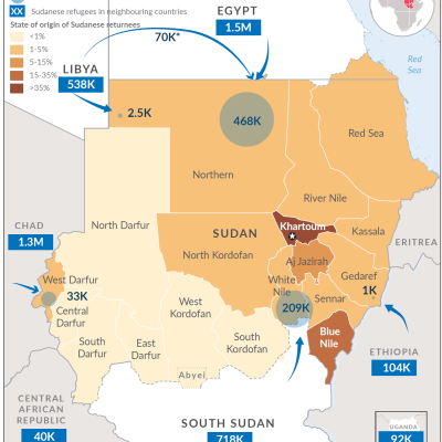 Sudanese returns from neighbouring countries - 18 January 2026
