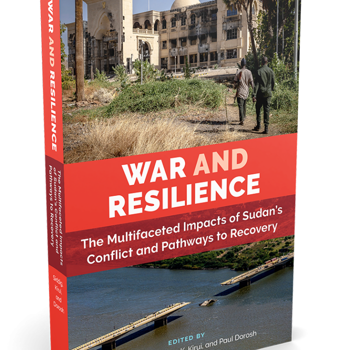 War and Resilience: The Multifaceted Impacts of Sudan's Conflict and Pathways to Recovery