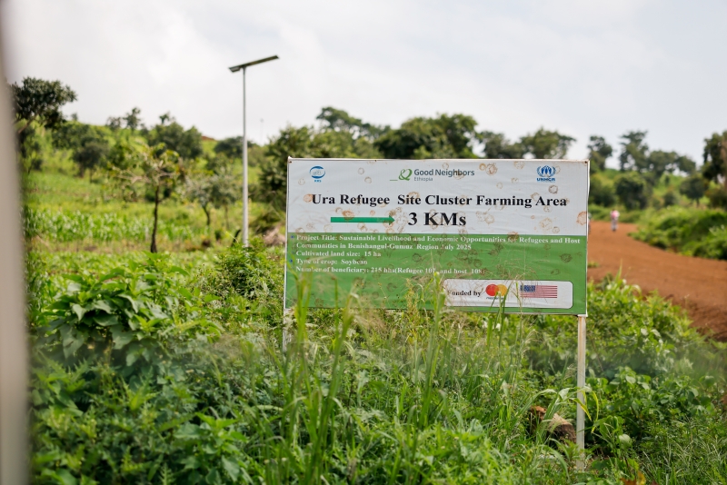 Cluster Farming Pilot in Ura