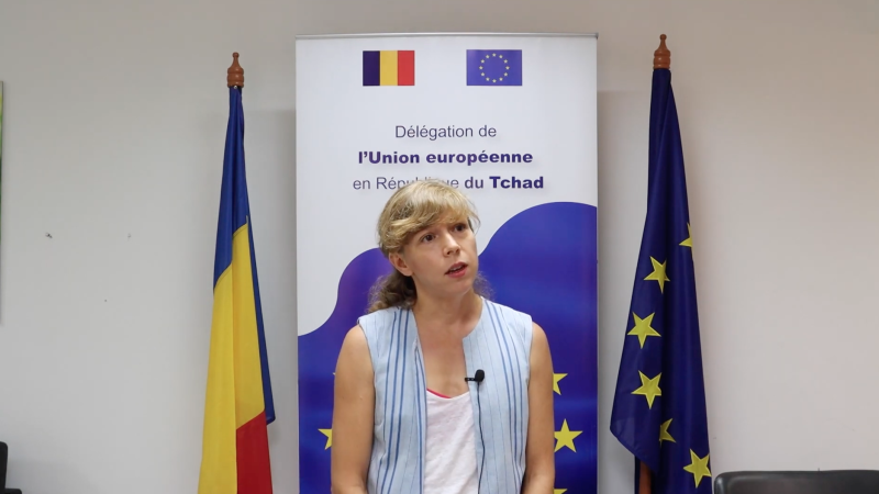 A conversation with the Delegation of the European Union to Chad