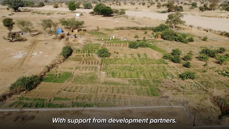 Development Responses to the Sudan Regional Crisis