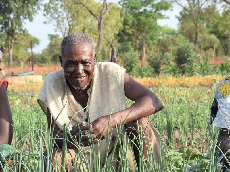 Sudan Regional Crisis - Development Action Platform