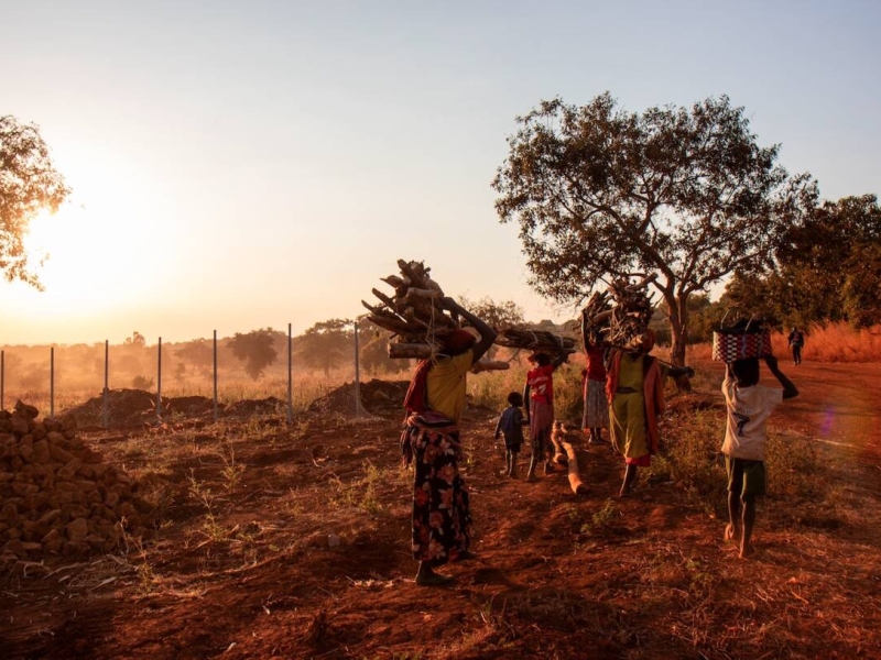 Sudan Regional Crisis Development Action Platform