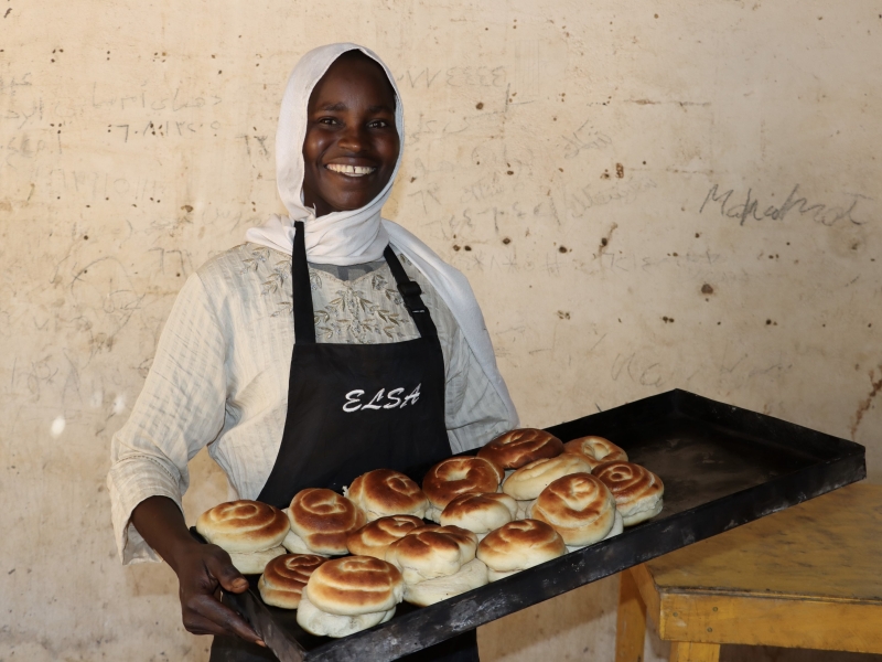 Livelihoods in Chad