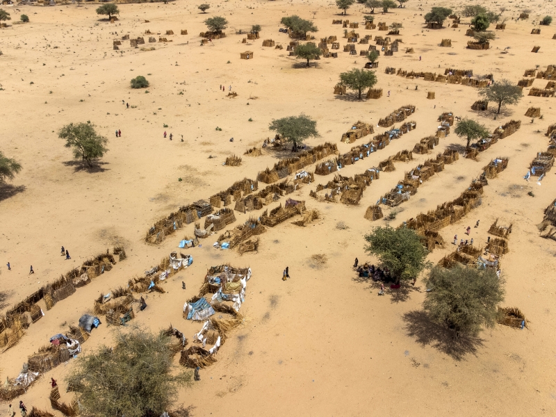 Sudanese refugees gather together, sheltering from the sun under trees and building makeshift shelters, at a temporary site in Koulbous, Chad, on the border with Sudan, after fleeing the ongoing conflict that erupted in Sudan nearly two years ago, in April 2023.