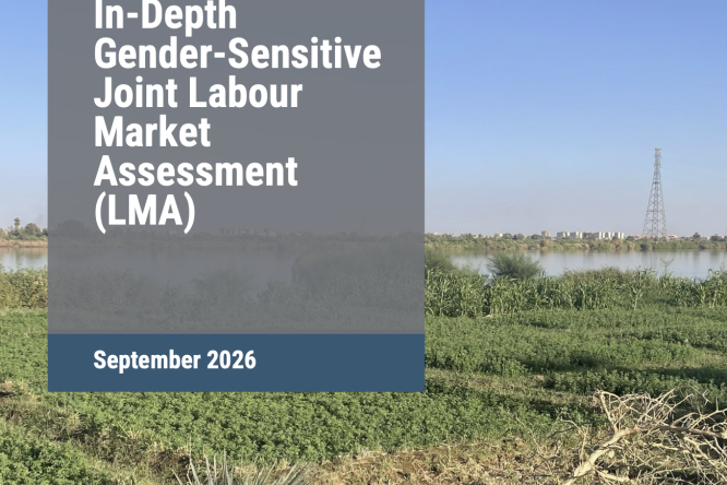 In-Depth Gender-Sensitive Joint Labour Market Assessment (LMA) for Sudan