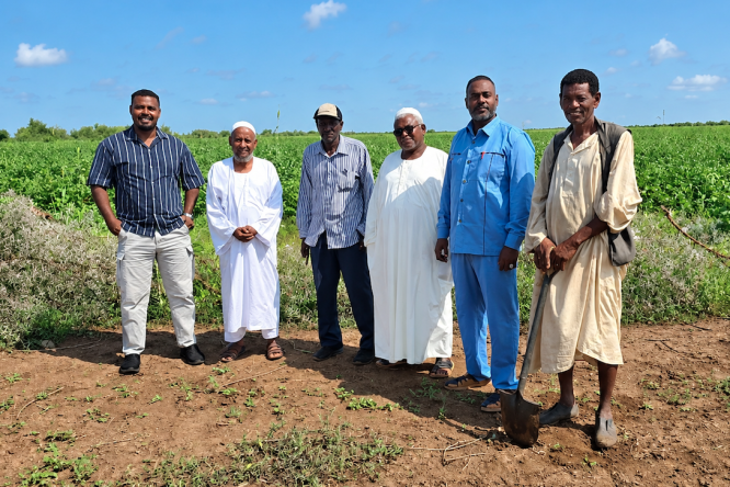 Sudan SME Catalyser Programme Phase II