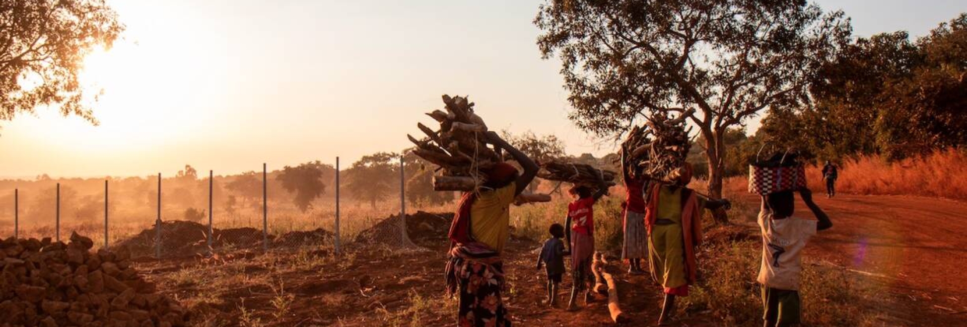 Sudan Regional Crisis Development Action Platform