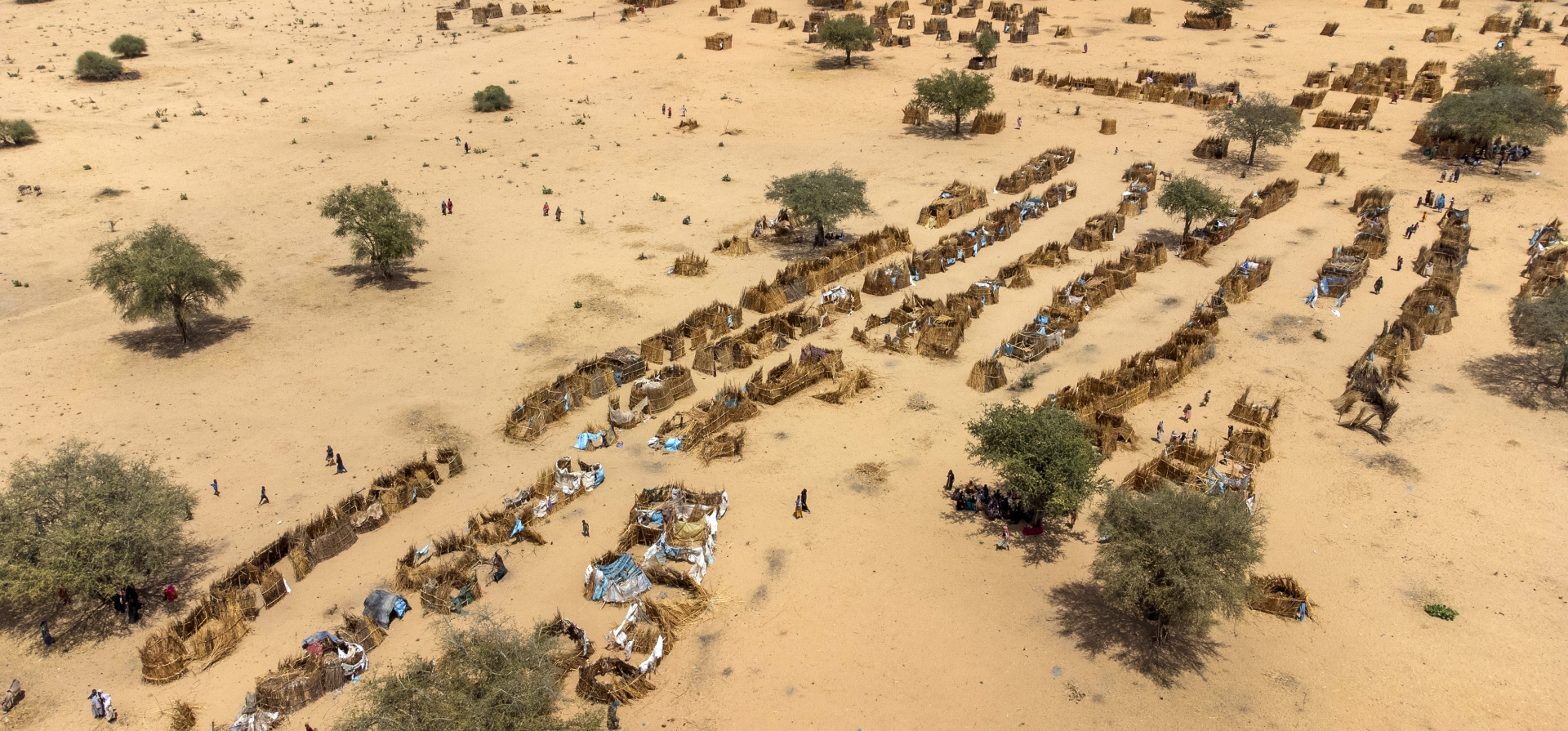Sudanese refugees gather together, sheltering from the sun under trees and building makeshift shelters, at a temporary site in Koulbous, Chad, on the border with Sudan, after fleeing the ongoing conflict that erupted in Sudan nearly two years ago, in April 2023.