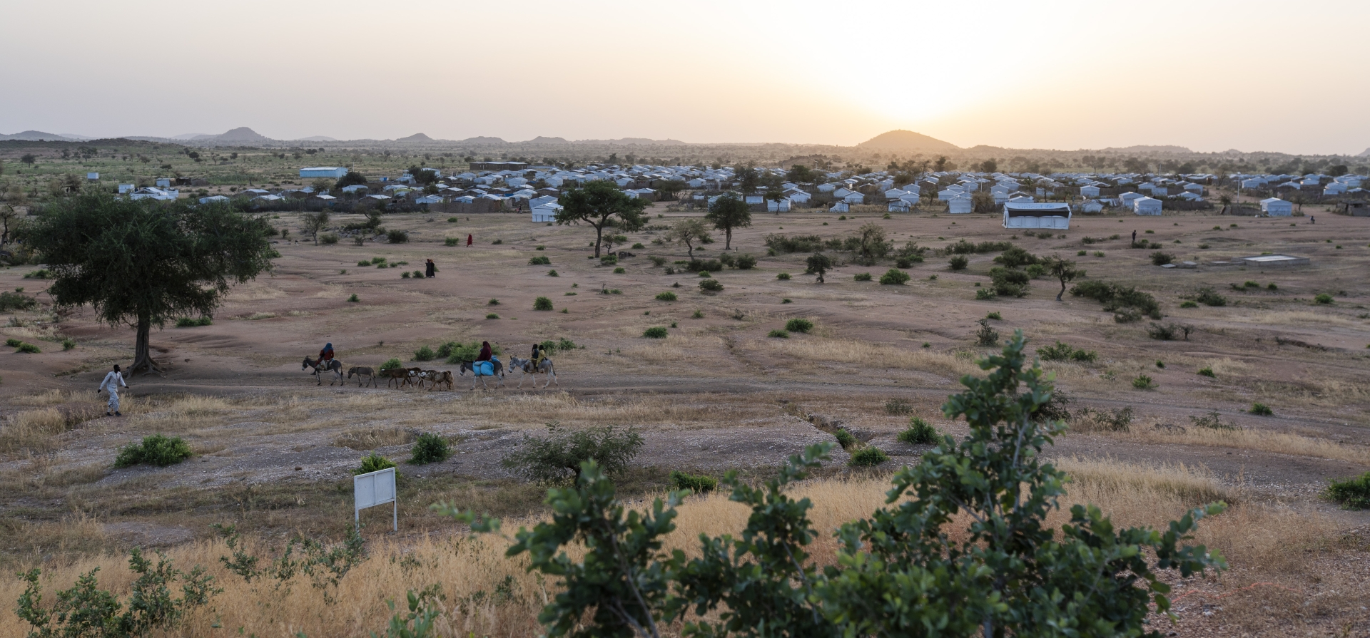 Farchana settlement