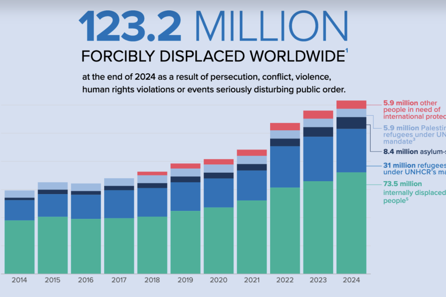UNHCR Global Trends Report 2024